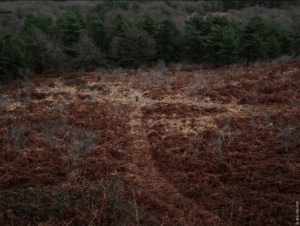 Image de présentation de l'atelier photo d'Eric Courtet sur le thème Le récit photographique