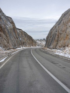 Ljubiša Danilovic - Georgia 1